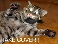 lolcatsdotcomfvdd32p65hgp1szm.webp