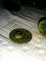 IMG_20141109_181225.webp