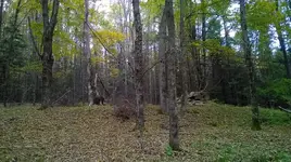 WP_20140929_021.webp WP_20140929_021.webp