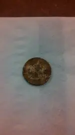 14187536743941731457383.webp