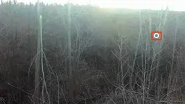P_20141224_161151.webp