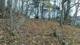 IMAG0151.webp