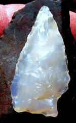 DSCF0025.webp