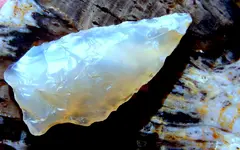 DSCF0004.webp