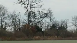 20141129_090913.webp 20141129_090913.webp