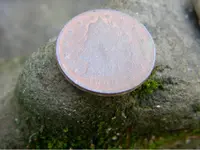 ImageUploadedByTapatalk1420058753.411254.webp