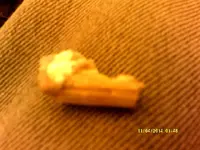 DSCF0337.webp