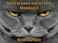 hDC00A75E i hate mondays.webp