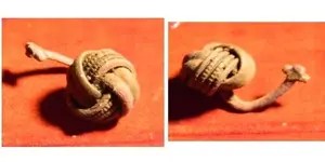 ear ring_unsure.webp