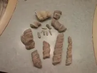 fossils 019.webp
