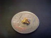 Q-Gold close-up.webp