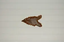 DSC_0024.webp