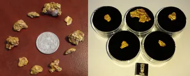 nugs.webp