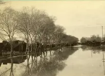 great-flood-phoenix-1891-a.webp