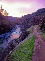 river sunset.webp