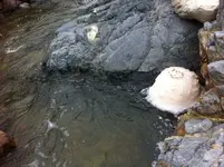 photo 3.webp