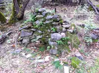 photo 4.webp