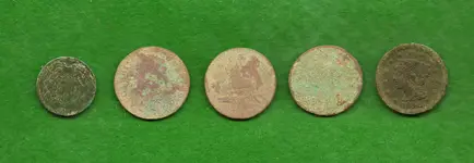 oops coppers.webp