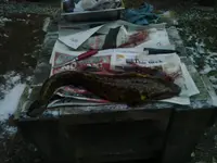 2014-12-22 17.00.18.webp