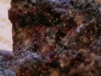 12-8 2.webp