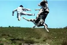 images (1).webp