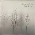 bare trees.webp