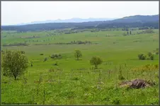 polska2013 076-Resizer-1100L298F063222W7.webp