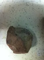 image-3819664198.webp