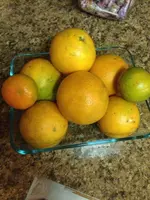 image-1862925520.webp