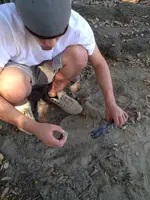 image-777467096.webp