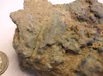DSCF2788.webp