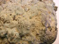 DSCF2790.webp