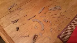 20141129_172923.webp