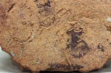 bottom_closeup.webp