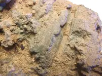DSCF2791.webp