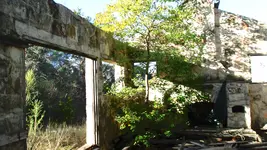 Ramp #5 walk 002.webp