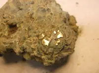 DSCF2792.webp