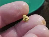 c-nug3.webp