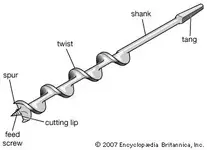4.webp