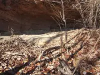 DSCF3805.webp