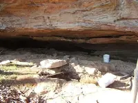DSCF3809.webp