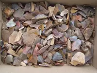 DSCF3822.webp