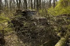 hidden_PA_junkyard_REO_GMC_Sedan_Delivery29-685x454.webp