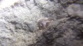 125_4331.webp