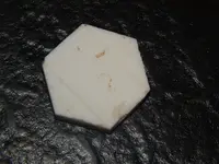 DSCN8247.webp