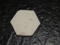 DSCN8248.webp