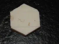 DSCN8249.webp