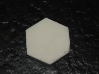 DSCN8252.webp