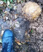 ImageUploadedByTapatalk1416833851.377816.webp