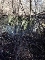 ImageUploadedByTreasureNet.com1418074767.862418.webp